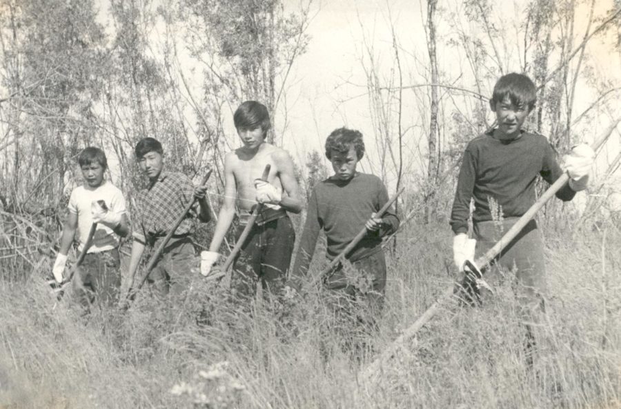 Юные сенокосчики 2 Мальжагарской школы, 1980-е гг.